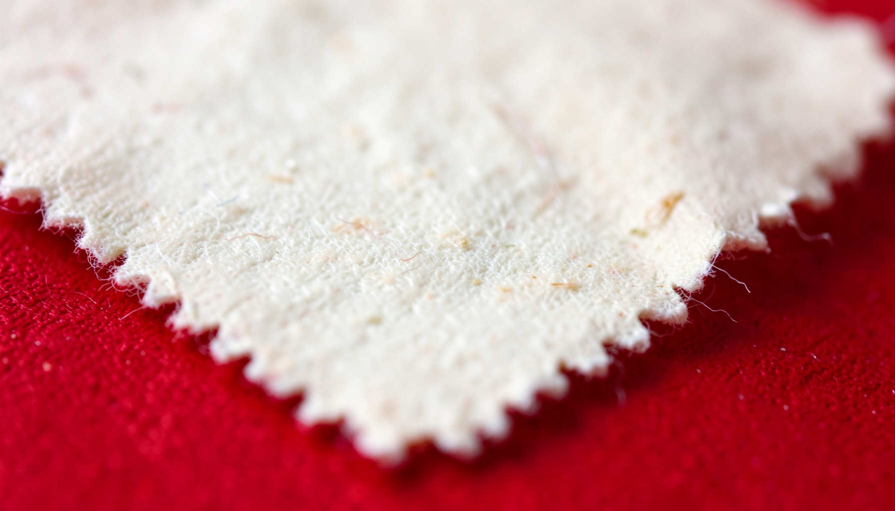 Tight macro shot of hand-pressed cotton rag paper with deckled edge, creamy off-white with faint organic flecks