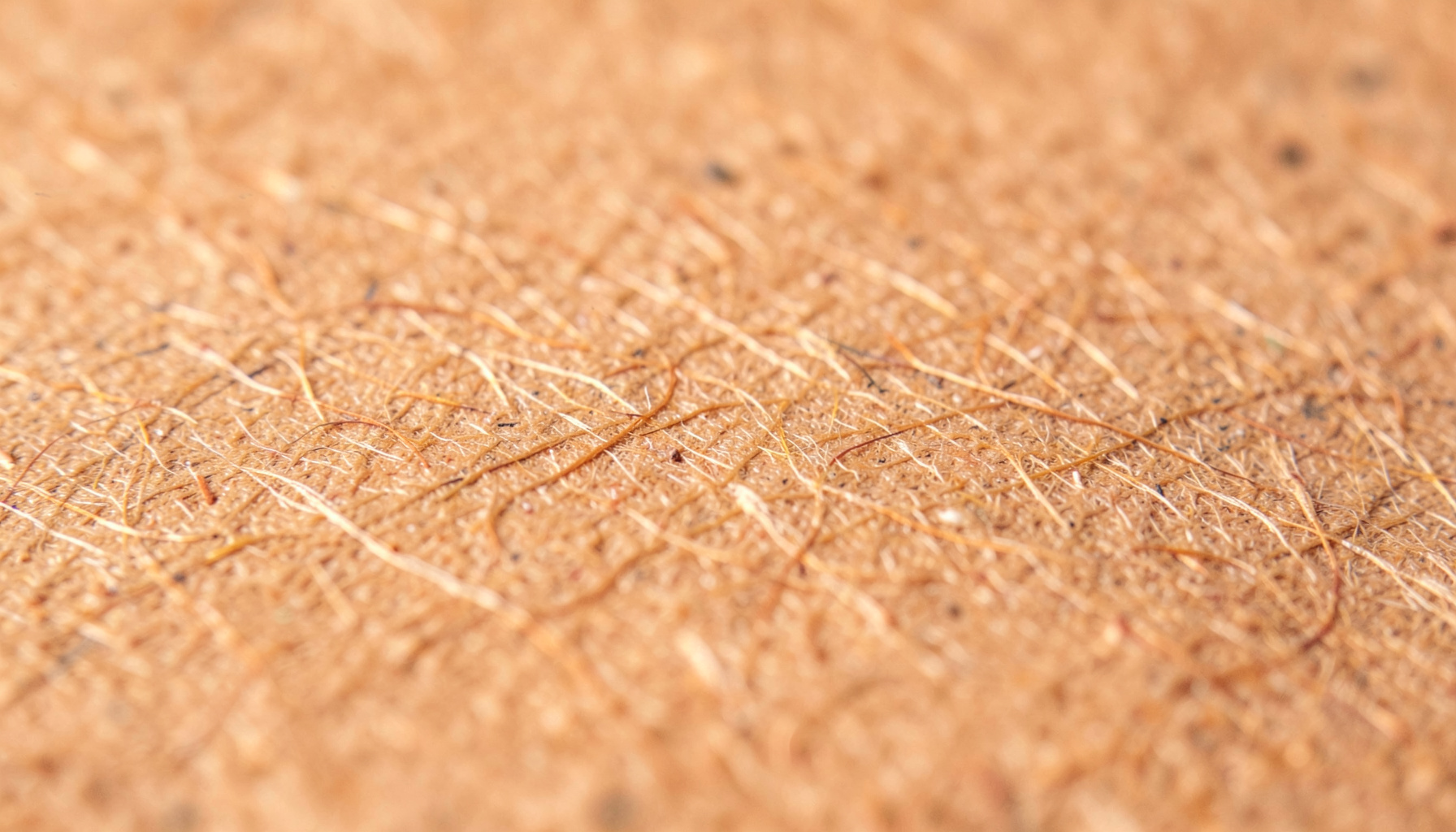 Close-up of aged kraft paper with fine crisscrossing fibers, warm brown and tan tones, soft matte surface
